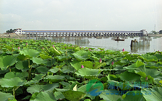 南四湖.jpg