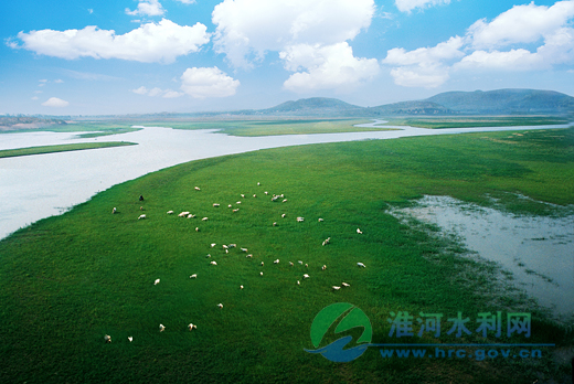 云蒙湖生态湿地 临沂市环保局提供.jpg