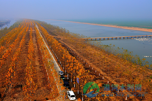 2012 新沂河堤防之秋 韩茂林 摄.jpg