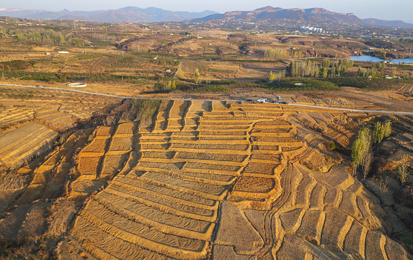 “同坡林小流域水土保持重点工程建设”、张春强、淮委水保监测站、201711 、山东蒙阴.jpg