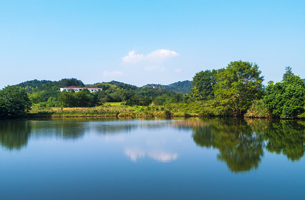 湖光山色   王世民   淮河工会.jpg