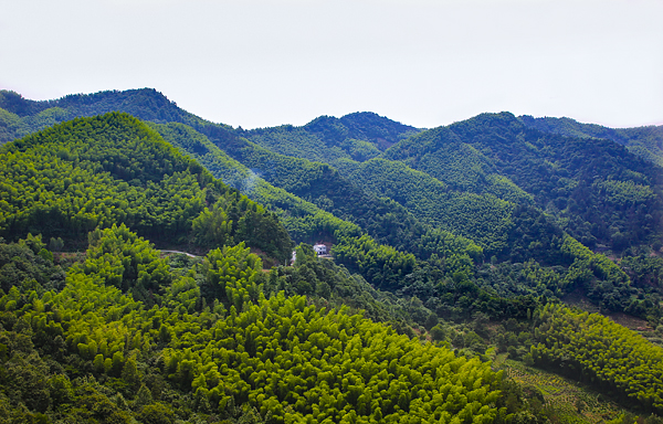 山里人家  梁瑞阳  监督处.jpg