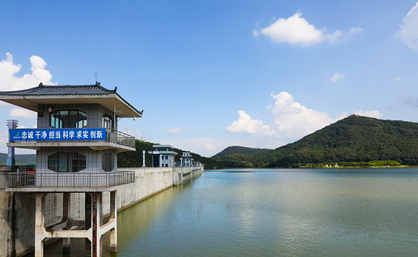 水美景美   张婷   治淮档案馆.jpg